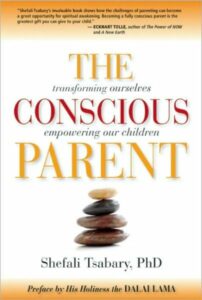 the concious parent