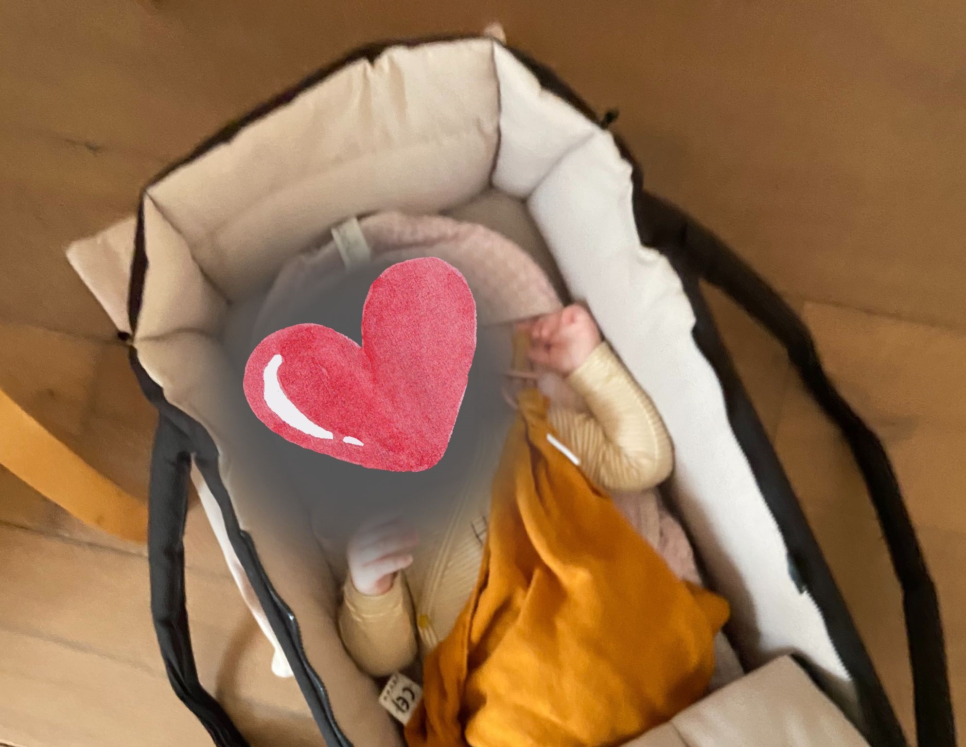 baby reiswiegje